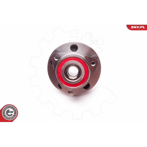 ESEN SKV Radlagersatz