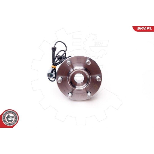 ESEN SKV Radlagersatz