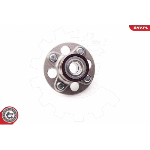 ESEN SKV Radlagersatz