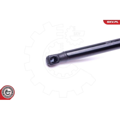 ESEN SKV Gasfeder, Koffer-/Laderaum