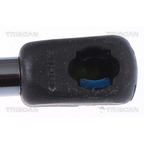 TRISCAN Gasfeder, Koffer-/Laderaum