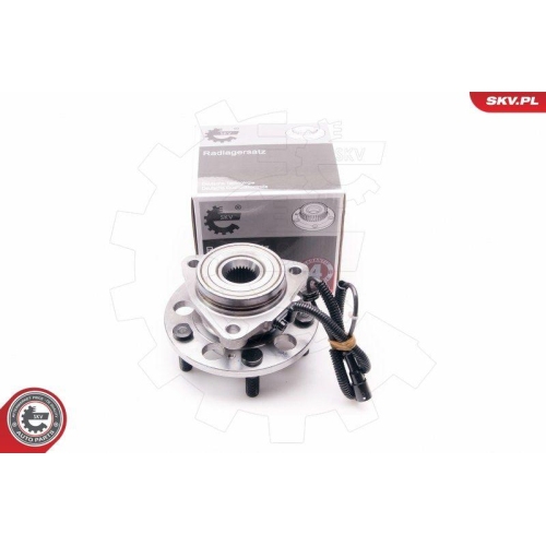 ESEN SKV Radlagersatz
