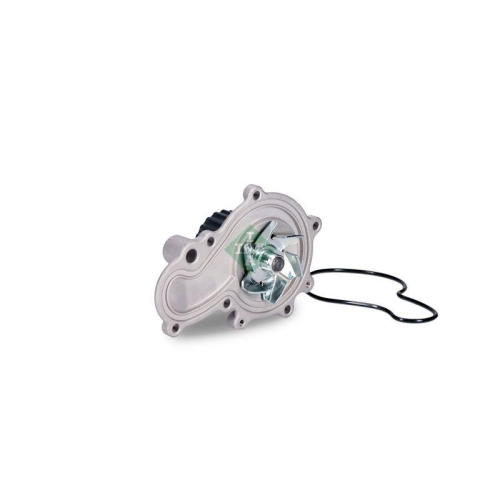 Schaeffler INA Wasserpumpe, Motorkühlung