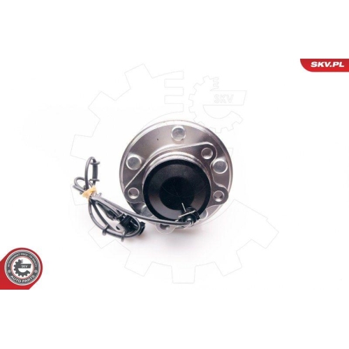 ESEN SKV Radlagersatz