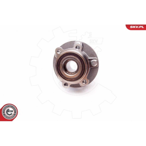 ESEN SKV Radlagersatz
