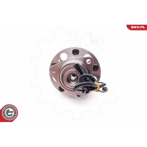 ESEN SKV Radlagersatz