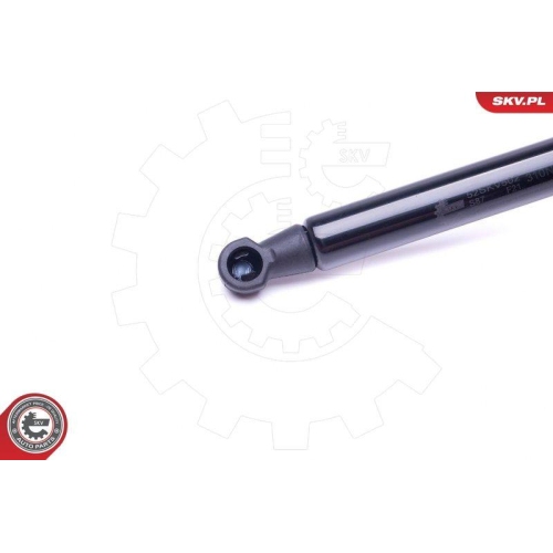 ESEN SKV Gasfeder, Koffer-/Laderaum