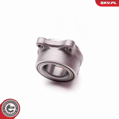 ESEN SKV Radlagersatz