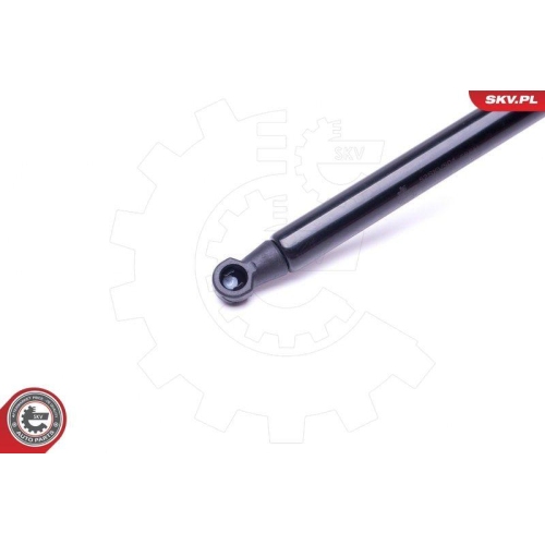 ESEN SKV Gasfeder, Koffer-/Laderaum