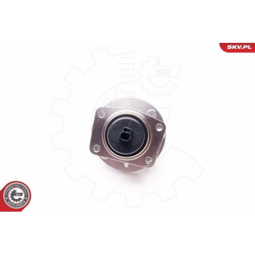 ESEN SKV Radlagersatz