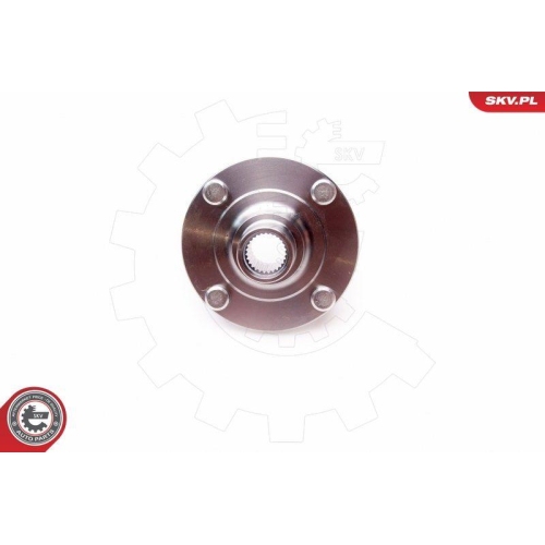 ESEN SKV Radlagersatz