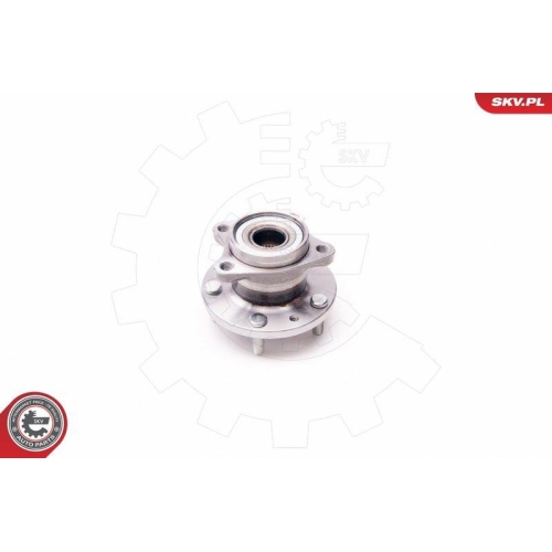 ESEN SKV Radlagersatz