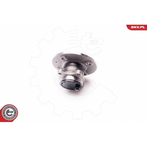 ESEN SKV Radlagersatz