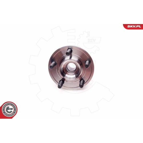 ESEN SKV Radlagersatz
