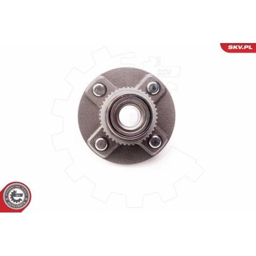 ESEN SKV Radlagersatz
