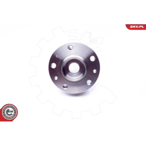 ESEN SKV Radlagersatz