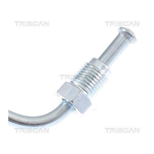 TRISCAN Bremsschlauch