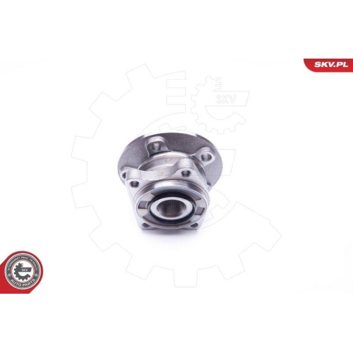 ESEN SKV Radlagersatz