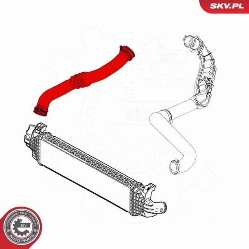 ESEN SKV Ladeluftschlauch