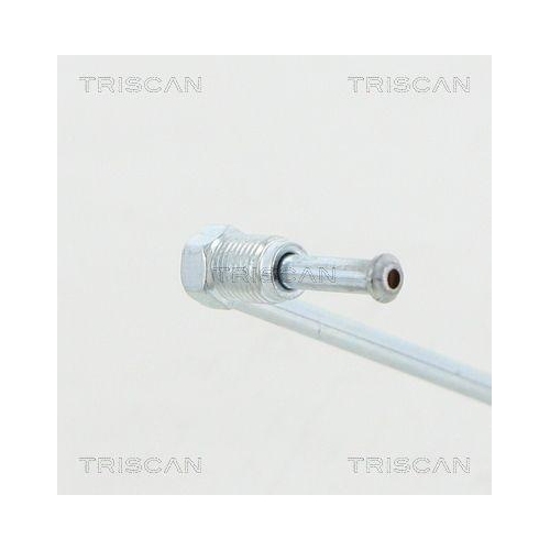 TRISCAN Bremsschlauch
