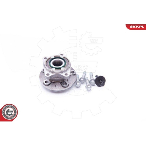 ESEN SKV Radlagersatz
