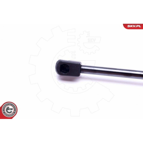 ESEN SKV Gasfeder, Koffer-/Laderaum