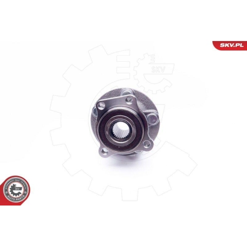 ESEN SKV Radlagersatz