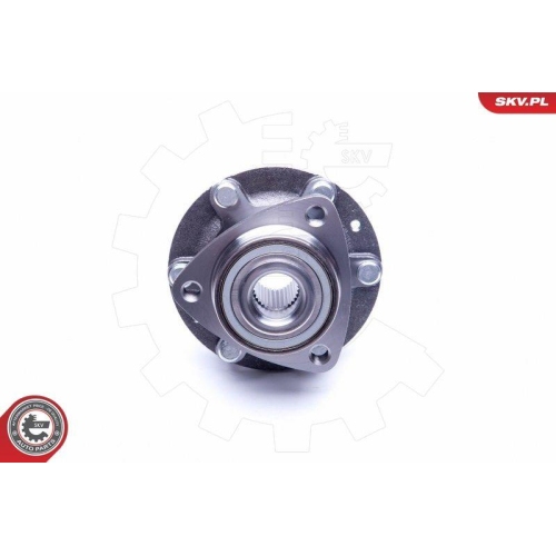 ESEN SKV Radlagersatz