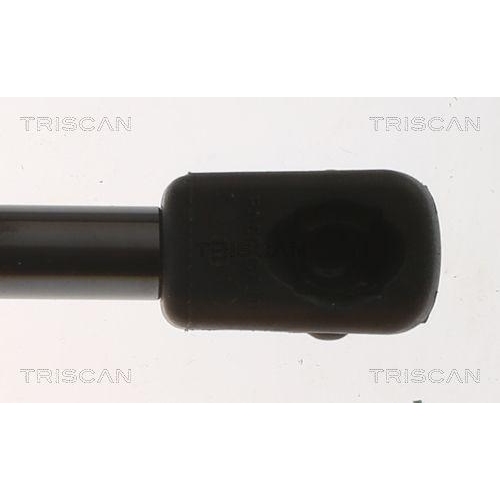TRISCAN Gasfeder, Koffer-/Laderaum