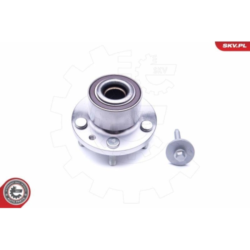 ESEN SKV Radlagersatz