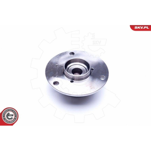 ESEN SKV Radlagersatz