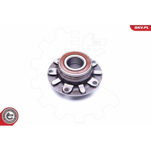 ESEN SKV Radlagersatz