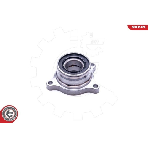 ESEN SKV Radlagersatz