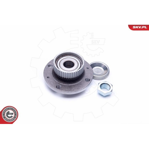 ESEN SKV Radlagersatz