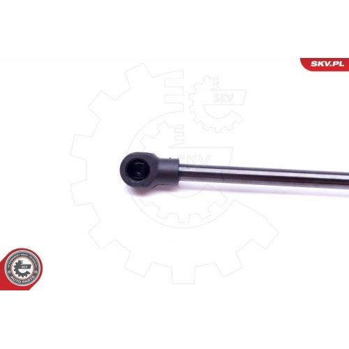 ESEN SKV Gasfeder, Koffer-/Laderaum