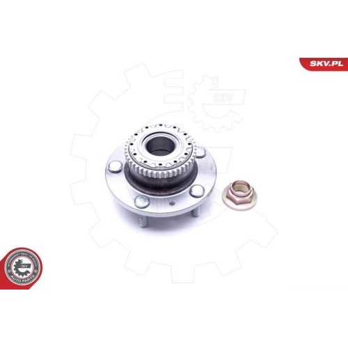 ESEN SKV Radlagersatz