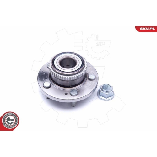 ESEN SKV Radlagersatz
