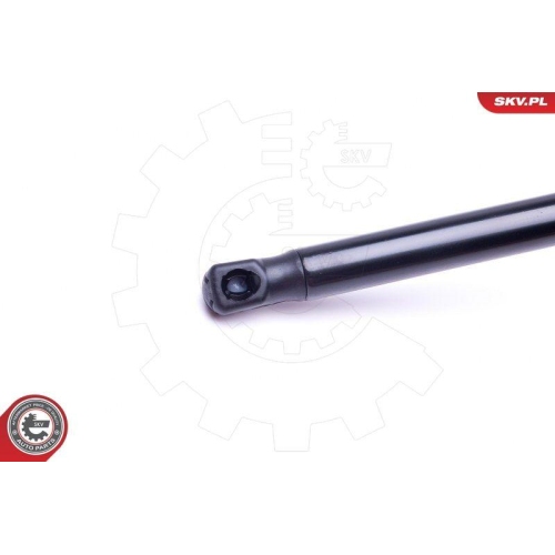 ESEN SKV Gasfeder, Koffer-/Laderaum