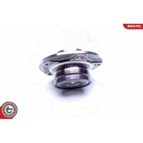 ESEN SKV Radlagersatz