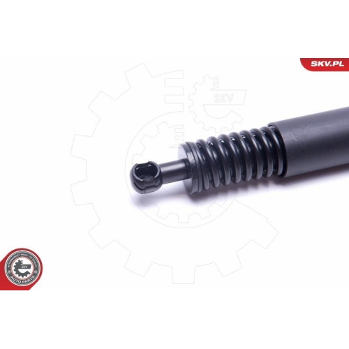 ESEN SKV Gasfeder, Koffer-/Laderaum