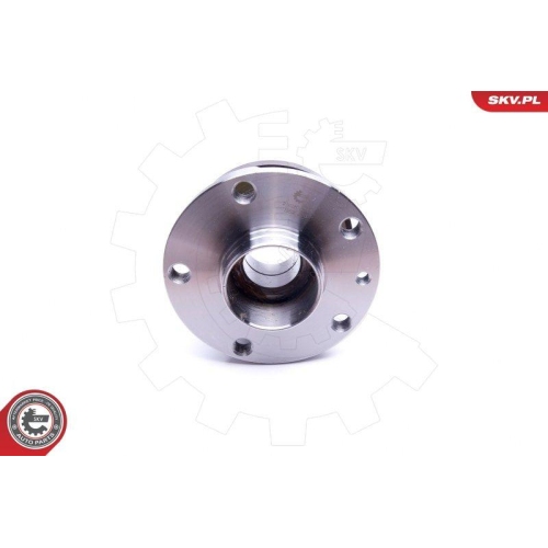 ESEN SKV Radlagersatz