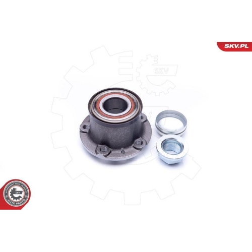 ESEN SKV Radlagersatz
