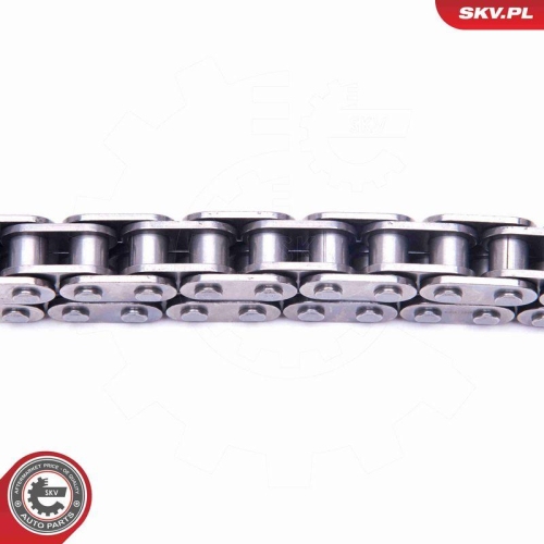 ESEN SKV Steuerkettensatz