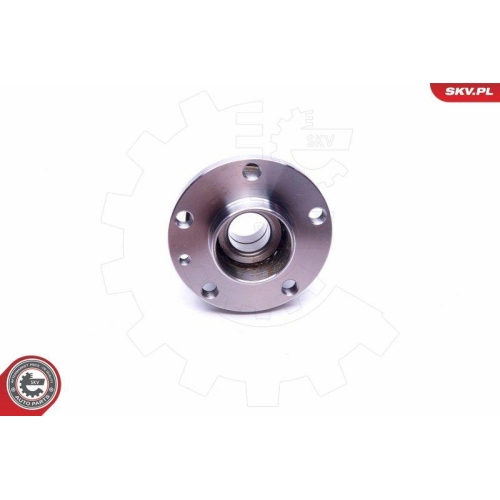 ESEN SKV Radlagersatz