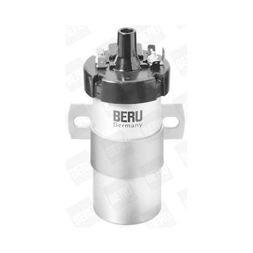 BorgWarner (BERU) Zündspule