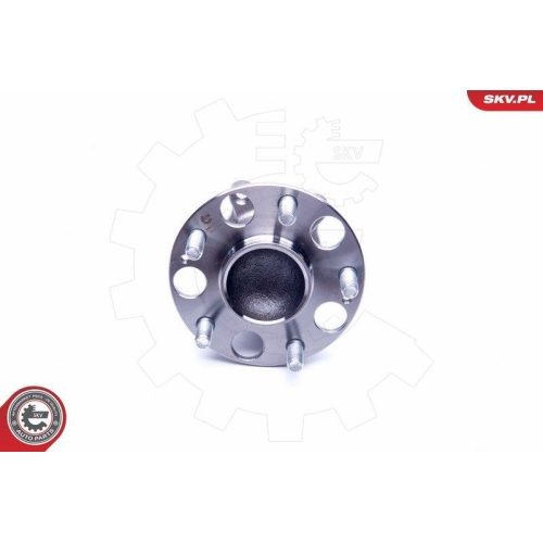 ESEN SKV Radlagersatz