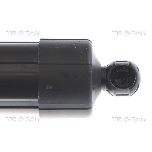 TRISCAN Gasfeder, Koffer-/Laderaum