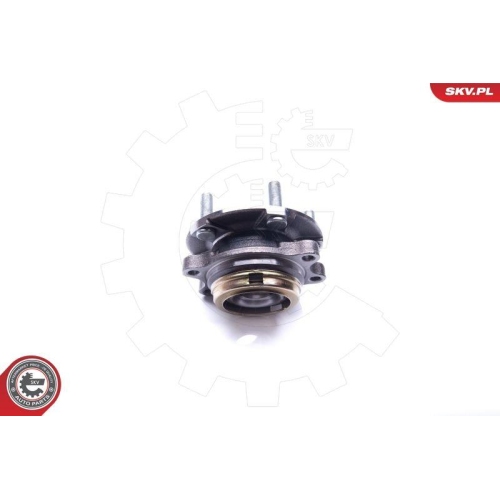 ESEN SKV Radlagersatz