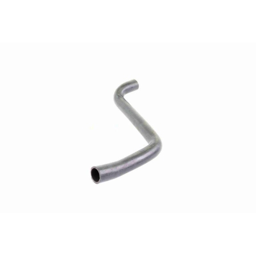 VAICO Kühlerschlauch Original VAICO Qualität