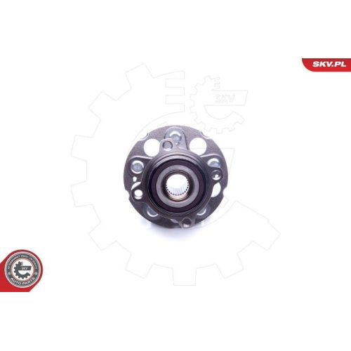 ESEN SKV Radlagersatz